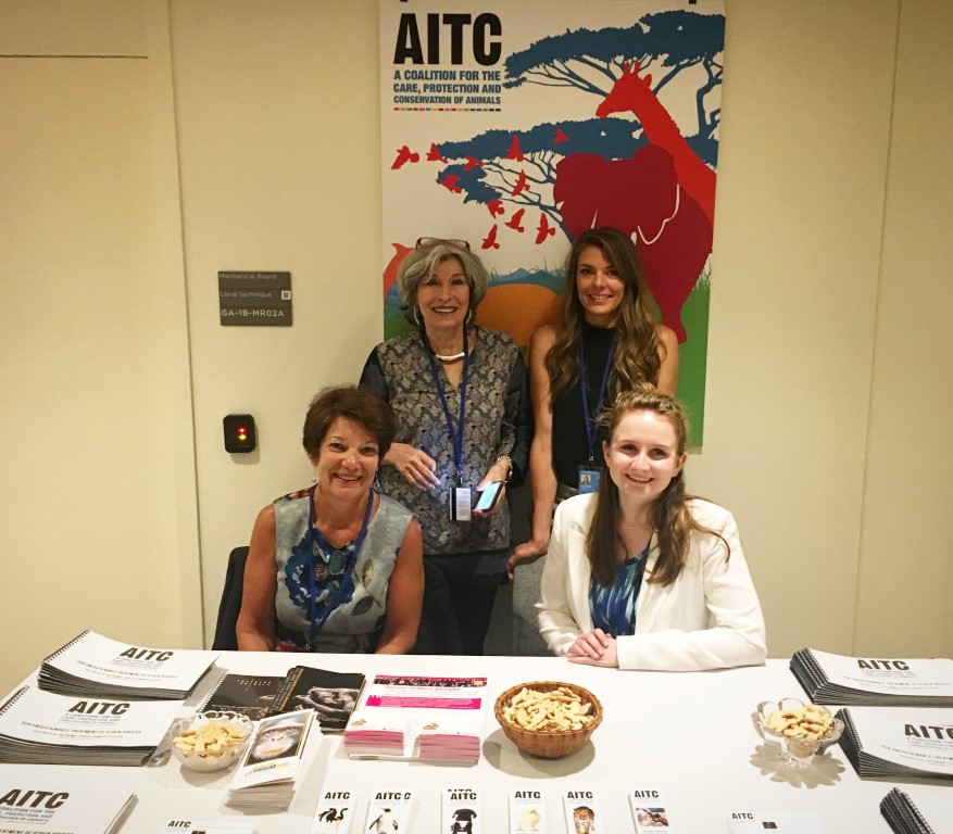 AITC Exhibition at UN Headquarters