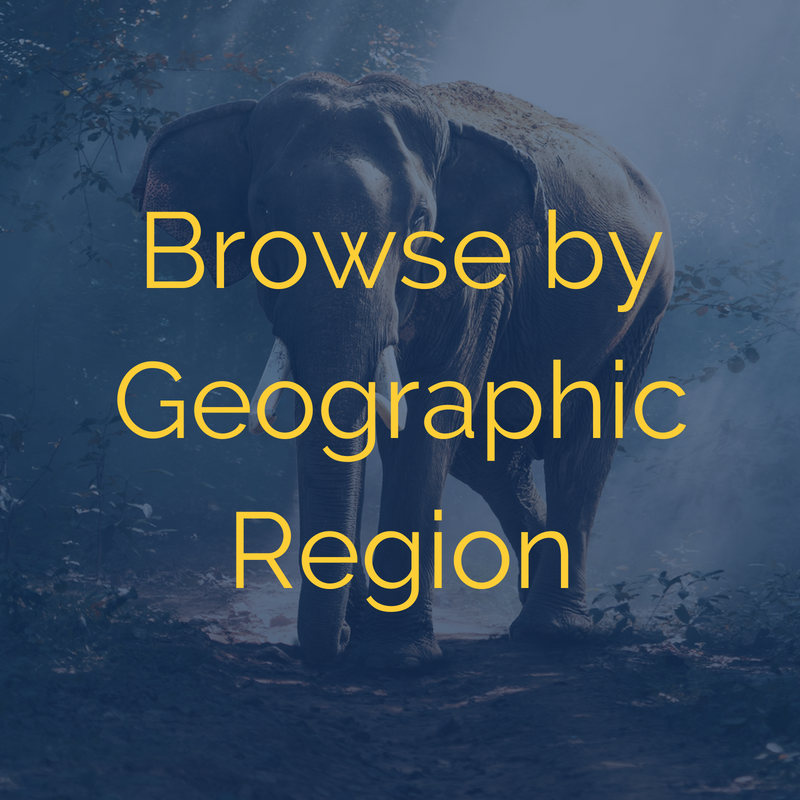 geography-regular