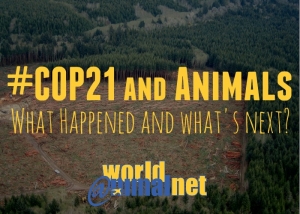 COP 21 and Animals: What Happened and What’s Next?