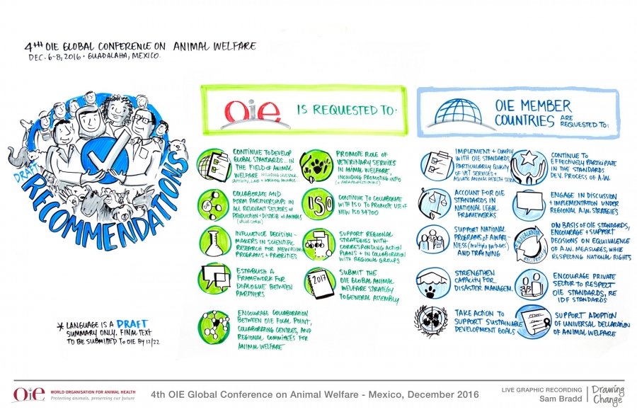 The OIE’s 4th Global Animal Welfare Conference: Policy Outcomes in a Nutshell