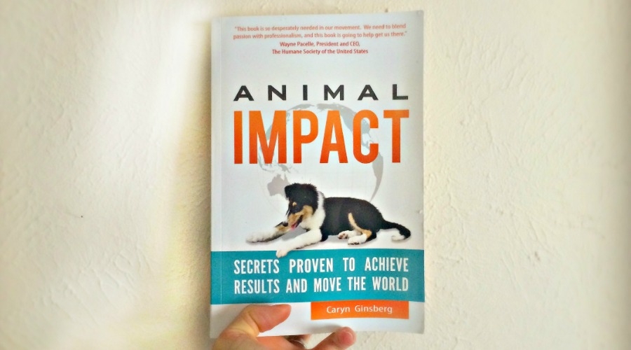 Book Review: Animal Impact by Caryn Ginsberg