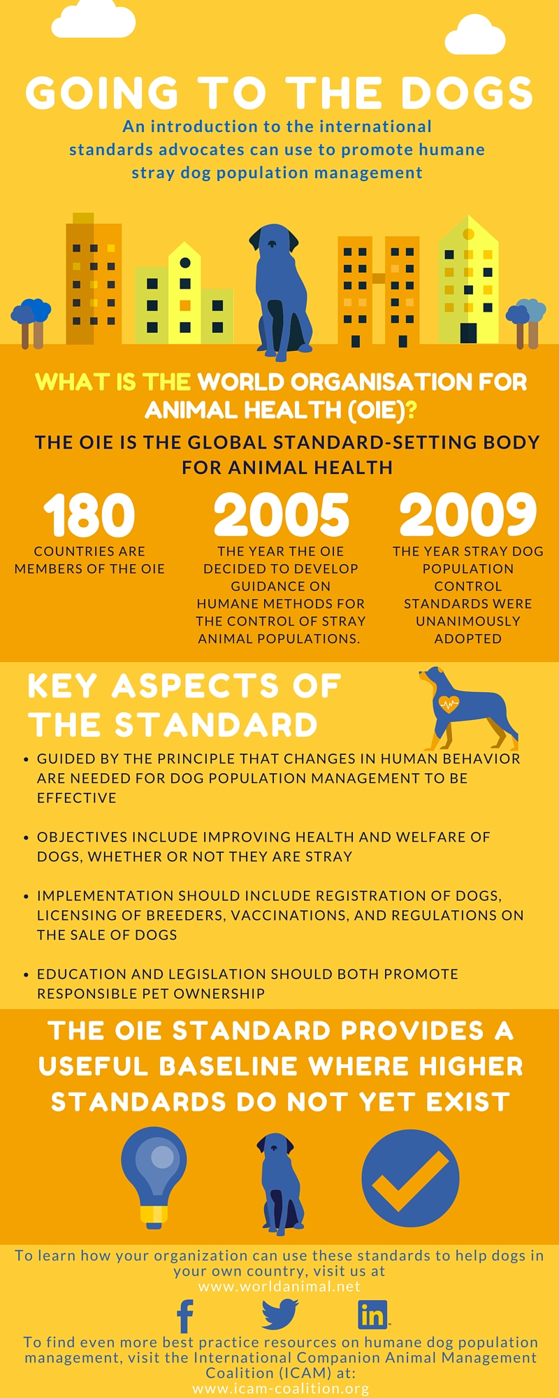 OIE stray dog standard infographic 2