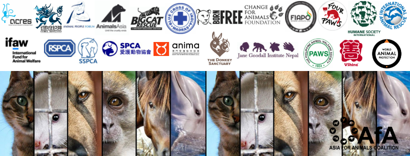 Asia for Animals Coalition