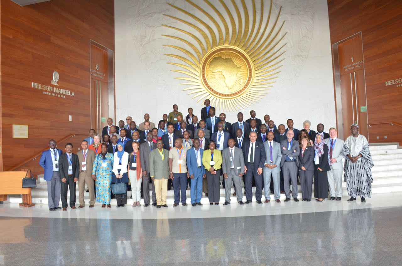 African Animal Welfare Strategy is agreed by the African Union 