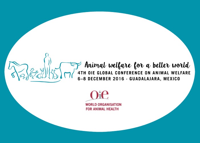 Reminder: World Organisation for Animal Health (OIE) 4th Global Animal  Welfare Conference