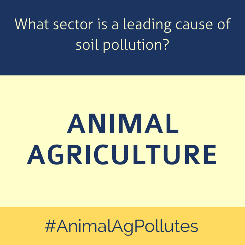 AnimalAgPollutes soil2