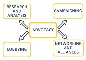 The Role of Strategy in Effective Advocacy