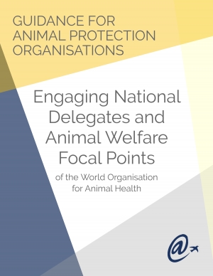 WAN Releases Guide for National Animal Protection Organizations in Engaging Their Country&#039;s Animal Welfare Representatives