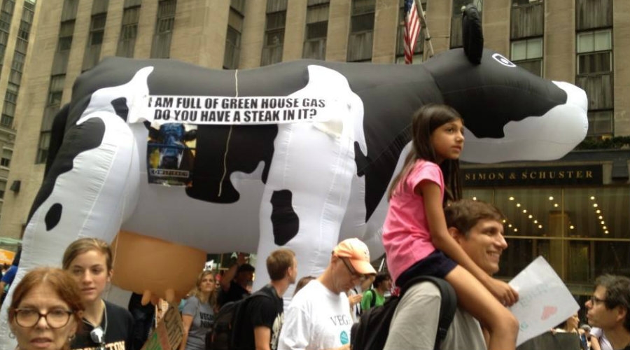 WAN carried the cow through the march to raise awareness about animal agriculture&#039;s affect on the environment.