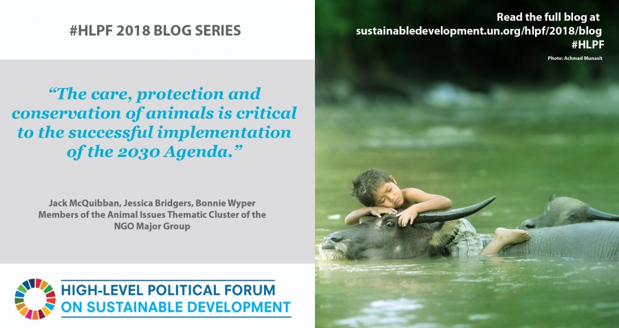 World Animal Net Co-Authors Blog on the United Nations Sustainable Development Website!