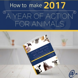 2017: A Year of ACTion for Animals!