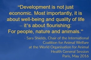 Watch this Space: Notes on Animal Welfare and the World Organisation for Animal Health (OIE) 2016 General Session