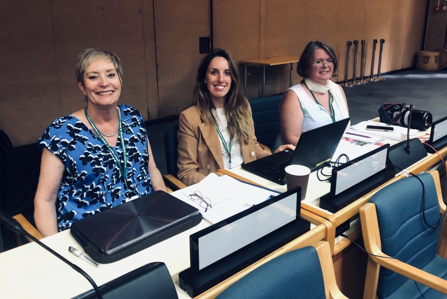 Negotiations on a Post-2020 Global Biodiversity Framework - Updating the Strategic Plan of the Convention on Biological Diversity