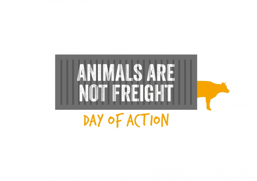 Urgent! Animals are not Freight. End the long distance transport of live animals
