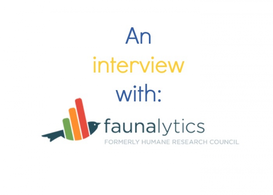 Faunalytics: A Standout Charity Helping Animal Advocates