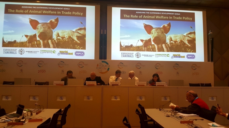 World Animal Net Sponsors Event at the World Trade Organization&#039;s Public Forum on World Animal Day
