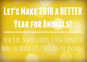 WAN’s 2015 Accomplishments: Ensuring a Bright Future for Animals Everywhere