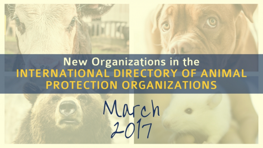 New Organizations in the World Animal Net Directory